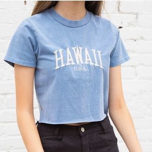 Blue Hawaii U.S.A Brandy Melville blue crop shirt.